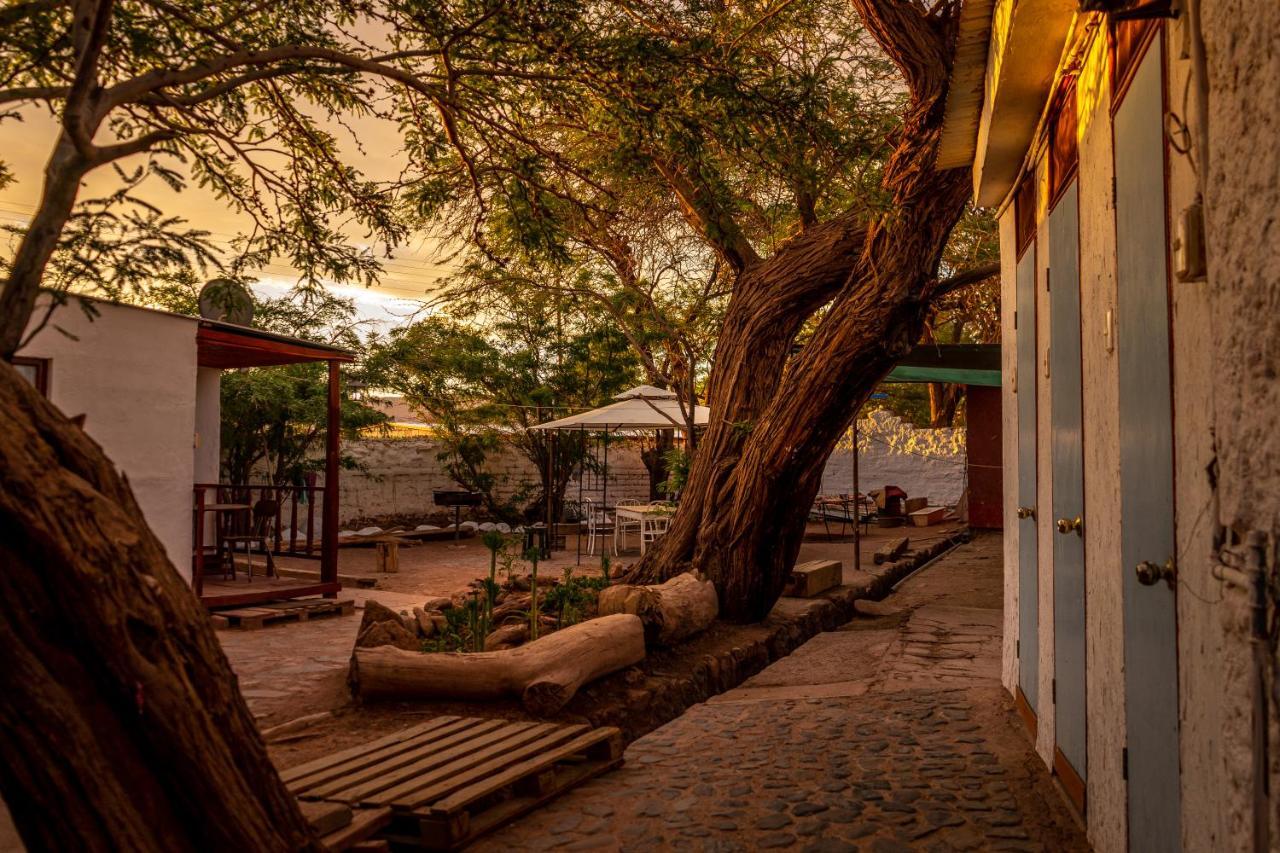 فندق La Casa Del Sol Naciente سان بيدرو دي أتاكاما المظهر الخارجي الصورة